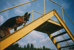 0430078 Мондьоринг