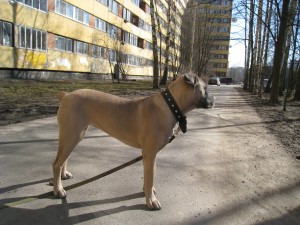 IMG_5934